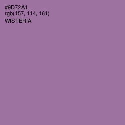 #9D72A1 - Wisteria Color Image