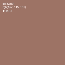 #9D7365 - Toast Color Image