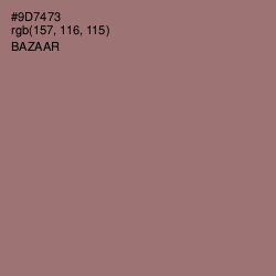 #9D7473 - Bazaar Color Image