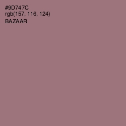 #9D747C - Bazaar Color Image