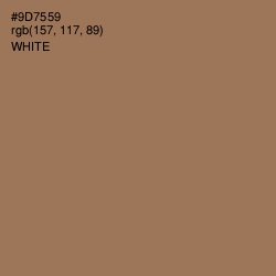 #9D7559 - Leather Color Image
