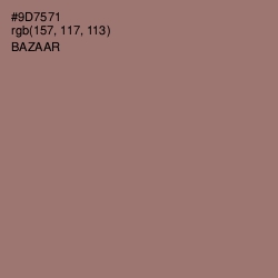 #9D7571 - Bazaar Color Image