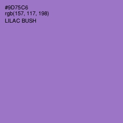 #9D75C6 - Lilac Bush Color Image