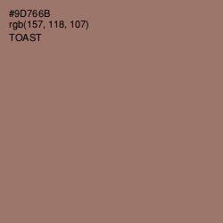 #9D766B - Toast Color Image