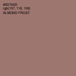 #9D766D - Almond Frost Color Image