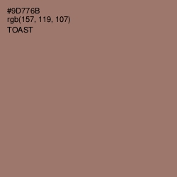 #9D776B - Toast Color Image