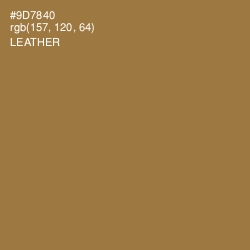 #9D7840 - Leather Color Image