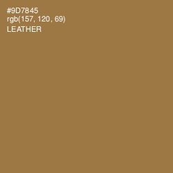 #9D7845 - Leather Color Image