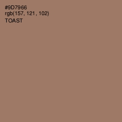 #9D7966 - Toast Color Image