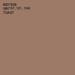 #9D7968 - Toast Color Image