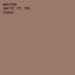 #9D7969 - Toast Color Image