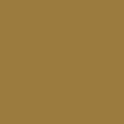 #9D7C42 - Leather Color Image