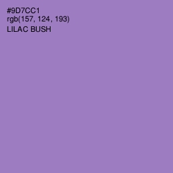 #9D7CC1 - Lilac Bush Color Image