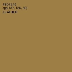 #9D7E45 - Leather Color Image