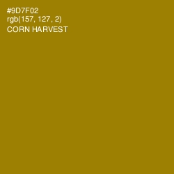 #9D7F02 - Corn Harvest Color Image