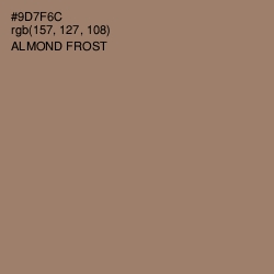 #9D7F6C - Almond Frost Color Image
