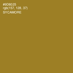 #9D8025 - Sycamore Color Image