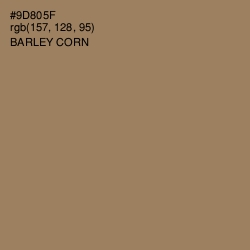 #9D805F - Barley Corn Color Image