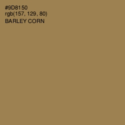 #9D8150 - Barley Corn Color Image