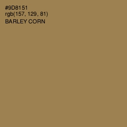 #9D8151 - Barley Corn Color Image