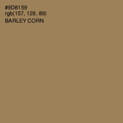#9D8159 - Barley Corn Color Image