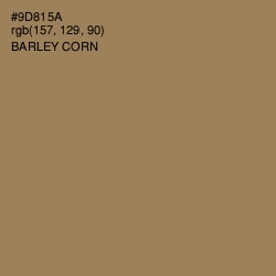 #9D815A - Barley Corn Color Image