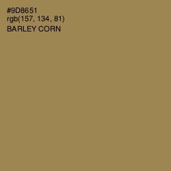 #9D8651 - Barley Corn Color Image