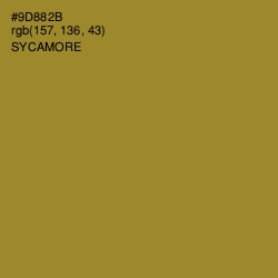 #9D882B - Sycamore Color Image