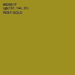 #9D901F - Reef Gold Color Image