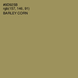 #9D925B - Barley Corn Color Image