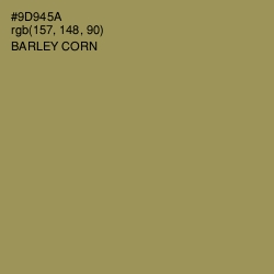 #9D945A - Barley Corn Color Image