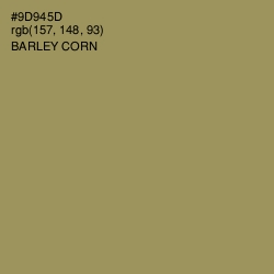 #9D945D - Barley Corn Color Image