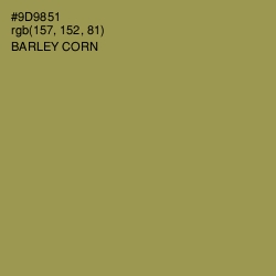 #9D9851 - Barley Corn Color Image