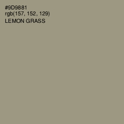 #9D9881 - Lemon Grass Color Image