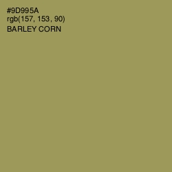 #9D995A - Barley Corn Color Image