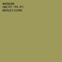 #9D9A5B - Barley Corn Color Image