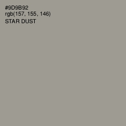 #9D9B92 - Star Dust Color Image