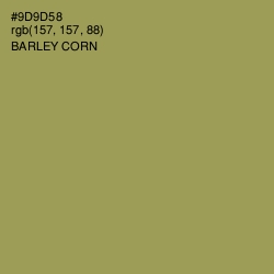 #9D9D58 - Barley Corn Color Image