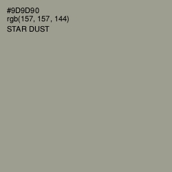 #9D9D90 - Star Dust Color Image