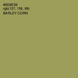 #9D9E59 - Barley Corn Color Image