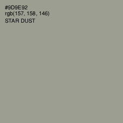 #9D9E92 - Star Dust Color Image