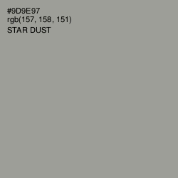 #9D9E97 - Star Dust Color Image