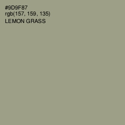 #9D9F87 - Lemon Grass Color Image