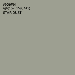 #9D9F91 - Star Dust Color Image