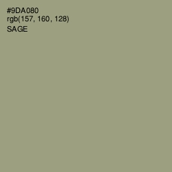 #9DA080 - Sage Color Image