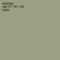 #9DA082 - Sage Color Image