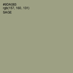 #9DA083 - Sage Color Image