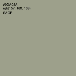 #9DA08A - Sage Color Image