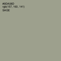 #9DA08D - Sage Color Image