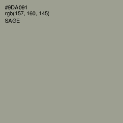 #9DA091 - Sage Color Image